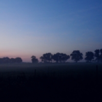Neighbor's farm field cloaked in early dawn mist